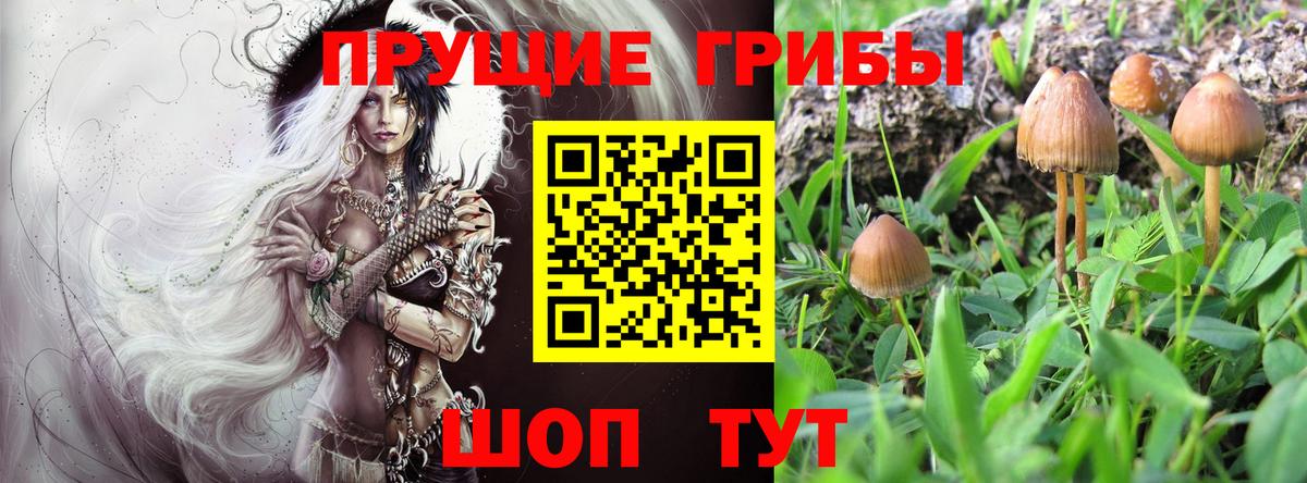 Галлюциногенные грибы Magic Shrooms Урус-Мартан