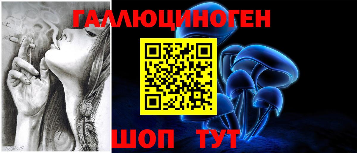Урус-Мартан  Галлюциногенные грибы Psilocybe  Вход с VPN 